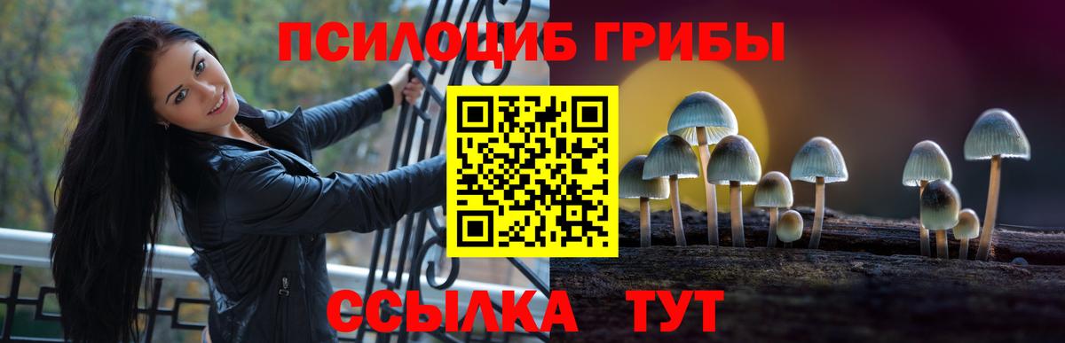 купить наркоту  Вход с VPN  Касимов  Псилоцибиновые грибы Magic Shrooms 